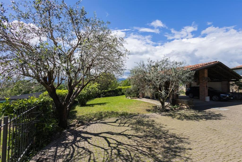 Villa Bruno Selvago In Lessona Esterno foto